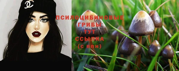 прущая мука Волоколамск
