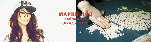 гашик Волосово