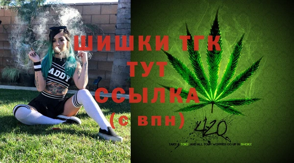 гашик Волосово